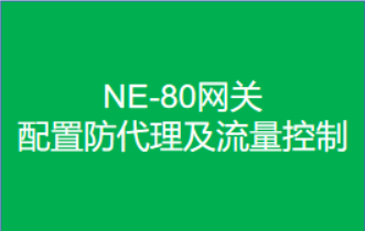 网关配置防代理及流量控制