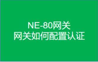 网关如何配置认证